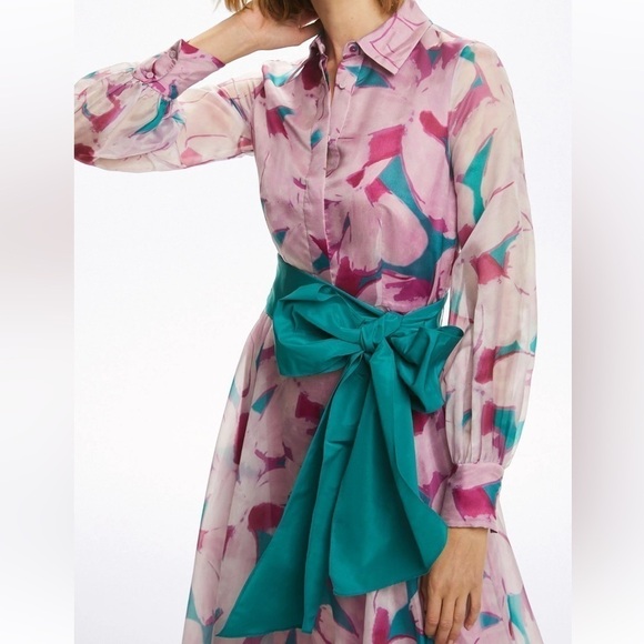 Carolina Herrera Azalea Organza Shirt Dress without GREEN TIE - Picture 5 of 11